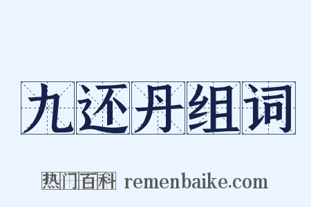 九还丹组词是什么意思的图片